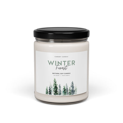 Winter Forest Scented Soy Candle — 9oz Jar (Pine & Fresh Balsam)